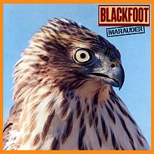 220px-Blackfootmarauder